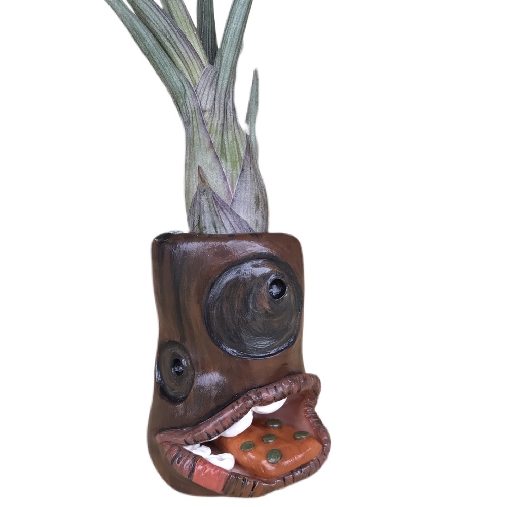 🛑SOLD🛑Handmade airplant holder